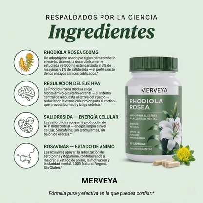 Rhodiola Rosea – Cortisol Alto. Energía Baja. Esto lo Cambia.