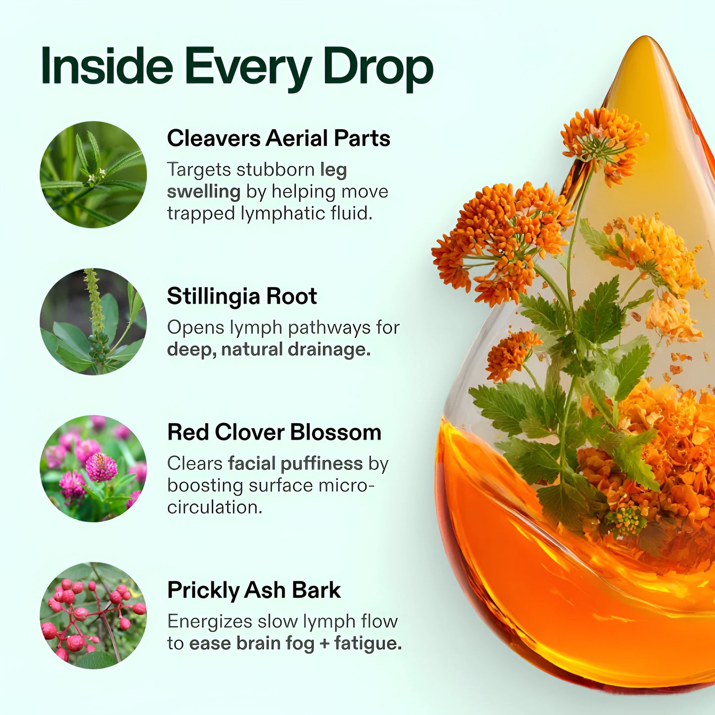 Lymphatic Drainage+