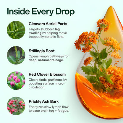 Lymphatic Drainage+